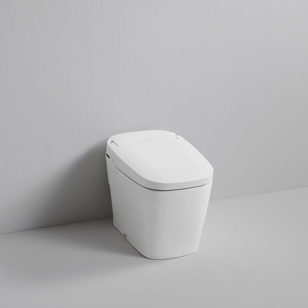 SMARTLET 6000.jpg