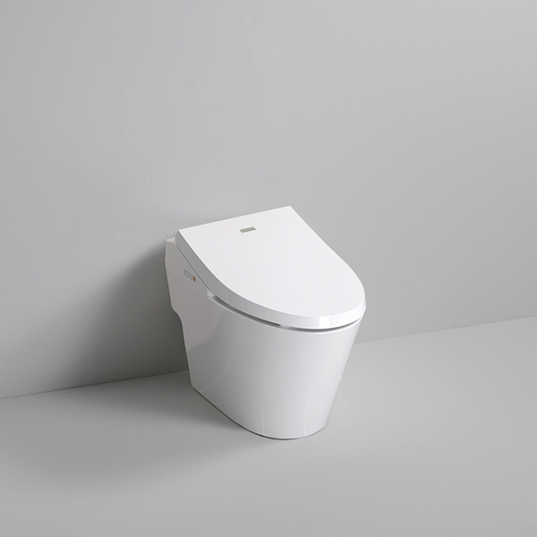 SMARTLET Fit [550] DST-550.jpg